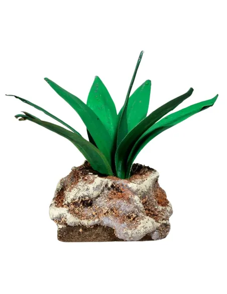 Light green agave for 20–30 cm Nativity figures