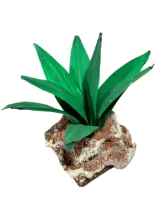 Agave verde chiaro per statue da 20-30 cm 2