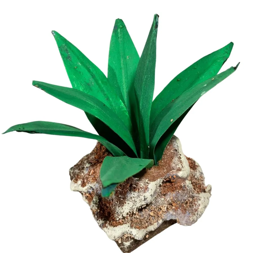 Light green agave for 20–30 cm Nativity figures