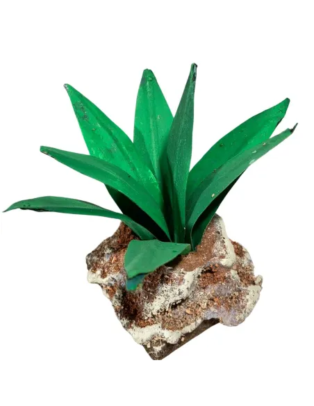 Light green agave for 20–30 cm Nativity figures