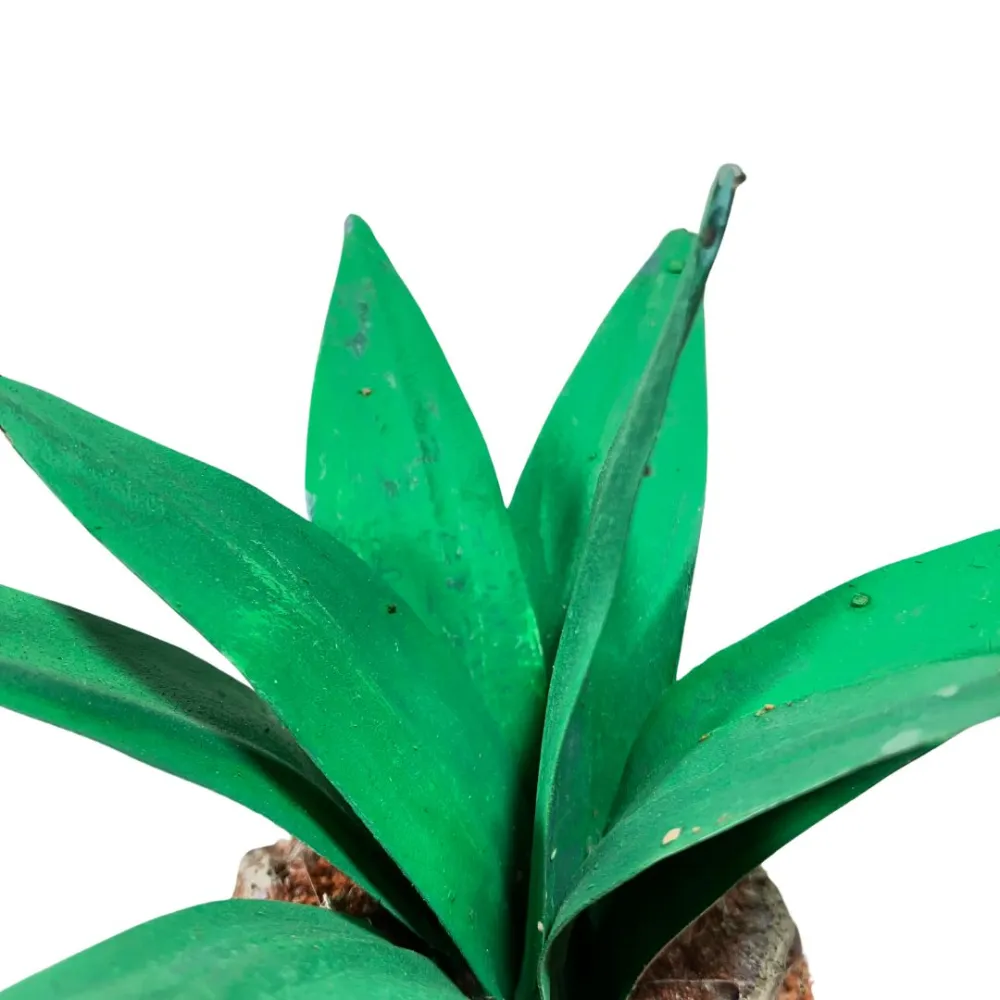 Light green agave for 20–30 cm Nativity figures