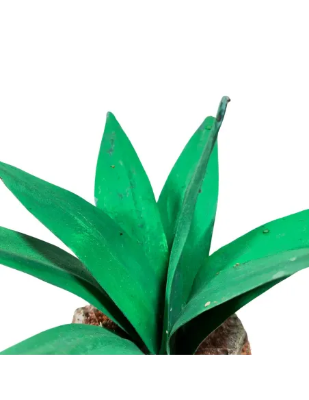 Light green agave for 20–30 cm Nativity figures