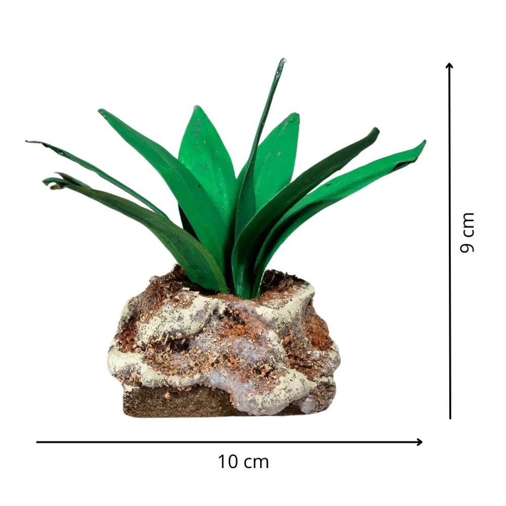 Light green agave for 20–30 cm Nativity figures