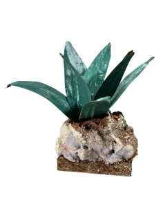 Agave verde scuro per statue da 20-30 cm