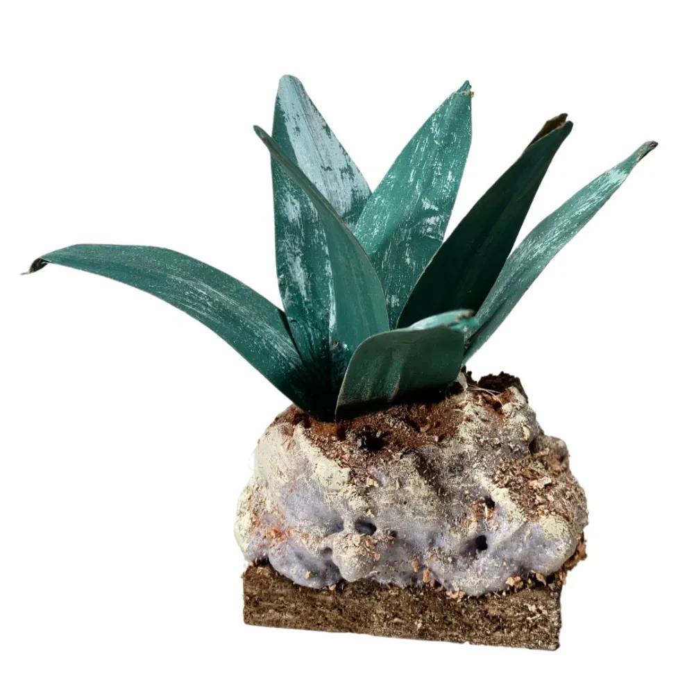 Dark green agave for 20–30 cm Nativity figures