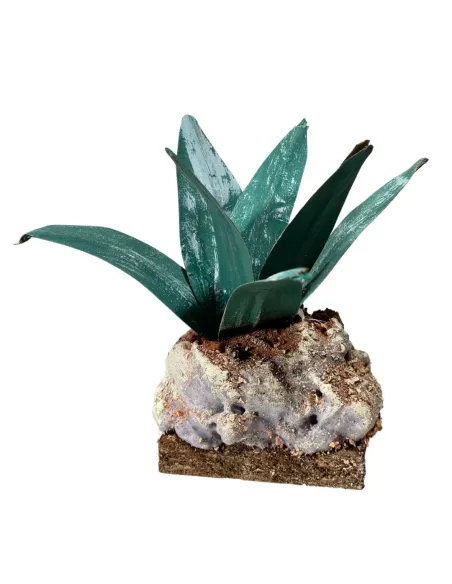 Agave verde scuro per statue da 20-30 cm