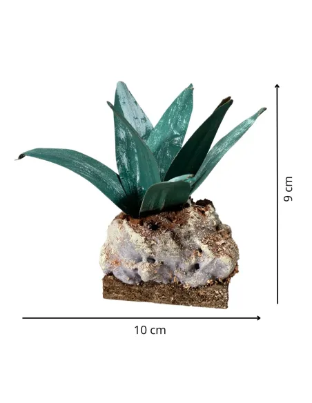 Agave verde scuro per statue da 20-30 cm