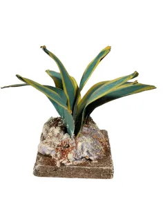 Agave doppio colore per statue da 20-30 cm