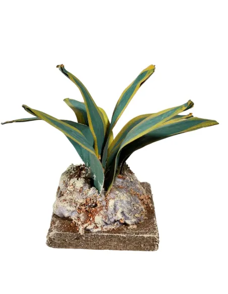 Two-tone agave for 20–30 cm Nativity figures