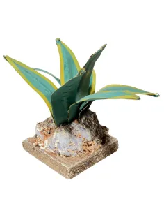 Two-tone agave for 20–30 cm Nativity figures 2