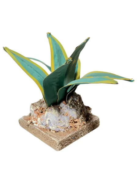 Two-tone agave for 20–30 cm Nativity figures
