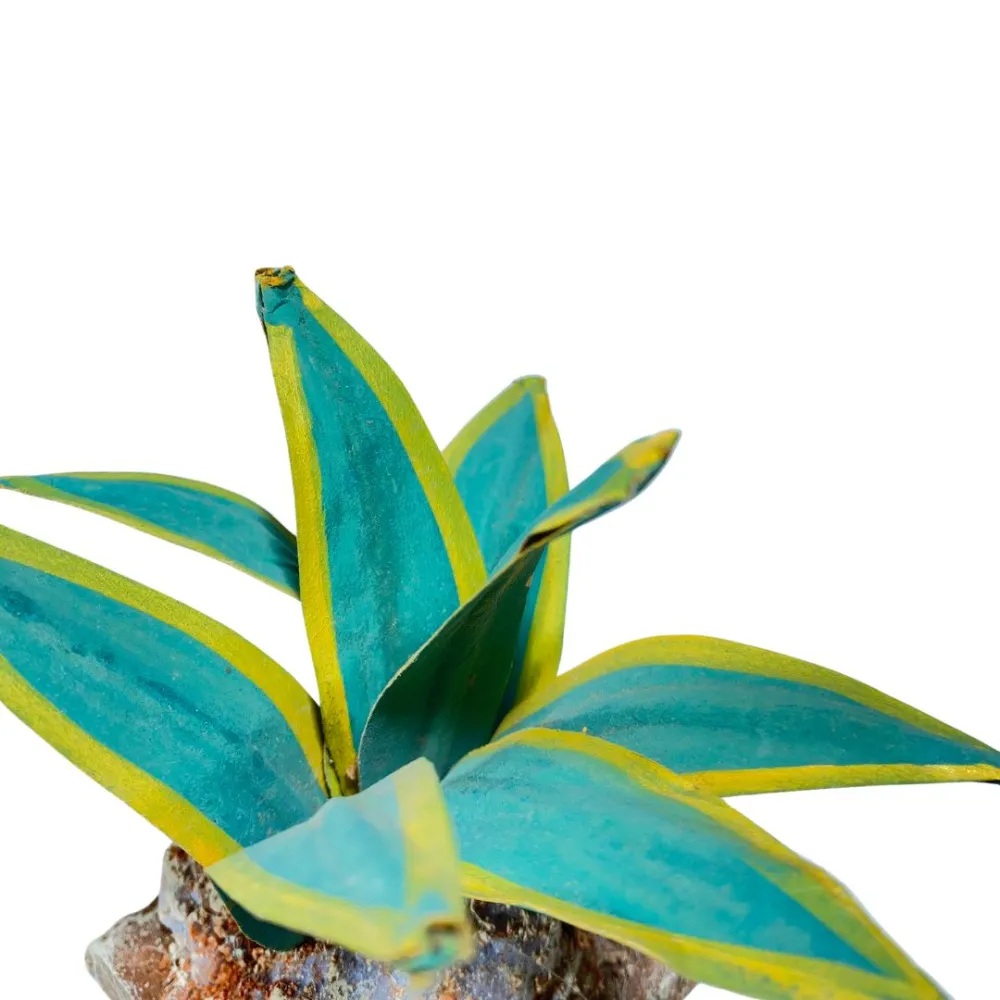 Two-tone agave for 20–30 cm Nativity figures