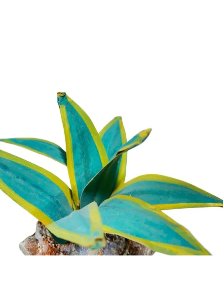 Agave doppio colore per statue da 20-30 cm