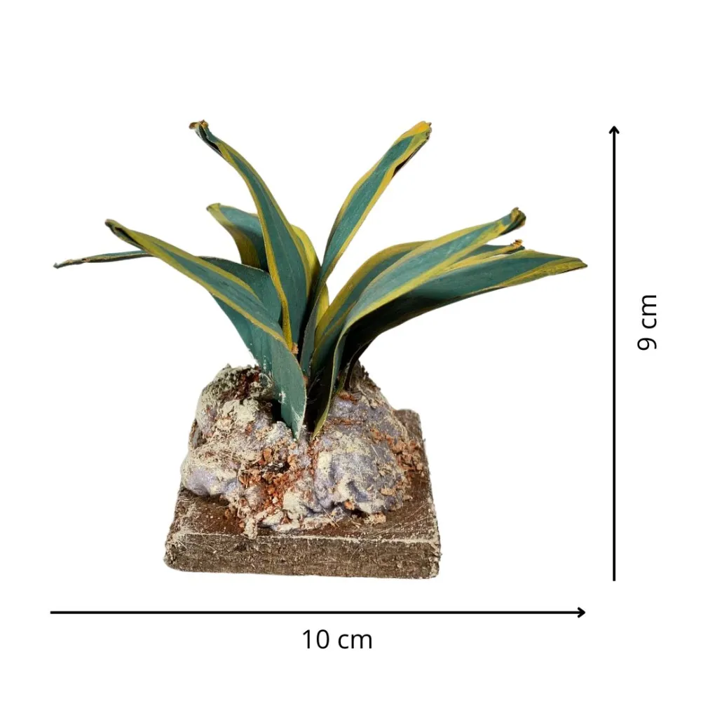 Two-tone agave for 20–30 cm Nativity figures