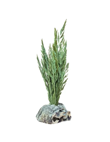 Bush for 5–8 cm Nativity figures