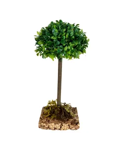 Albero di olmo per statue da 5-8 cm