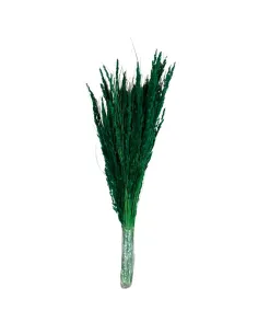 Mazzo erba cristina gambo corto