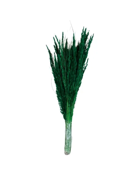 Short-stem Erba Cristina bundle