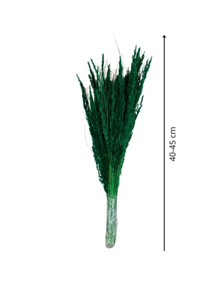 Short-stem Erba Cristina bundle