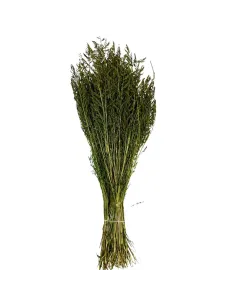 Cypress grass bundle
