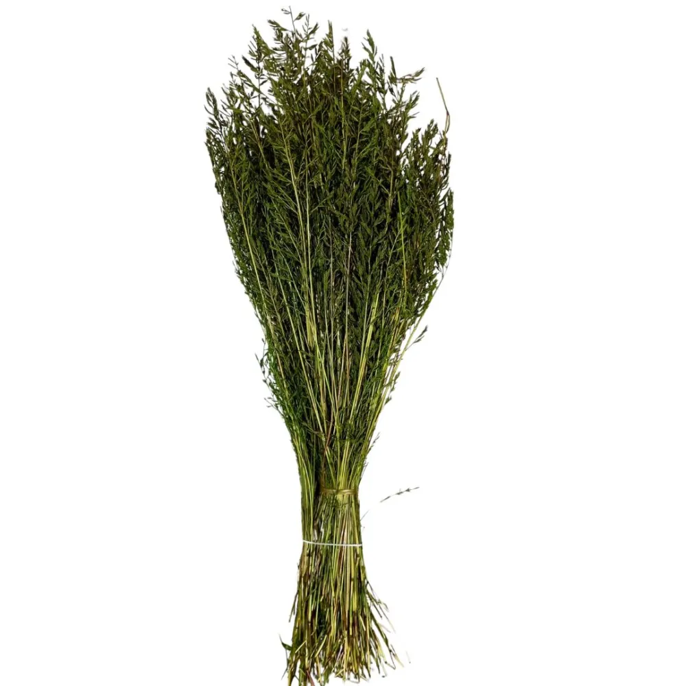 Cypress grass bundle