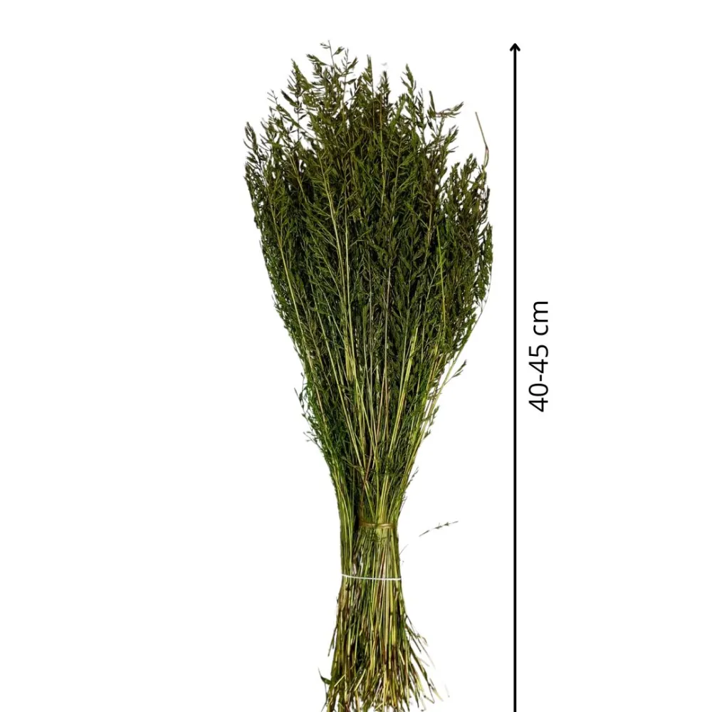 Cypress grass bundle