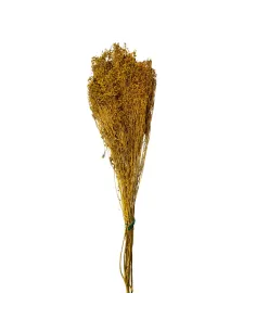 Broom bloom bundle, 100 g