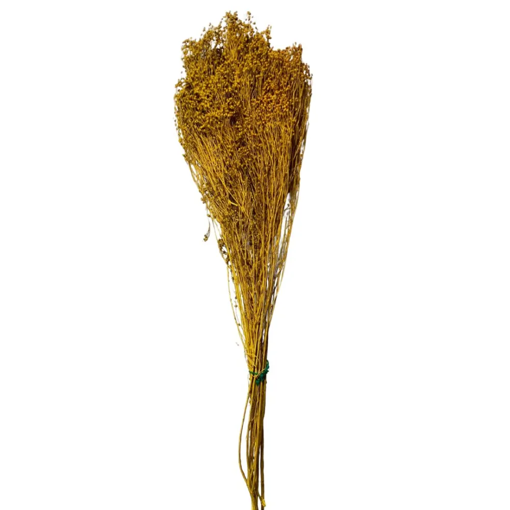Broom bloom bundle, 100 g