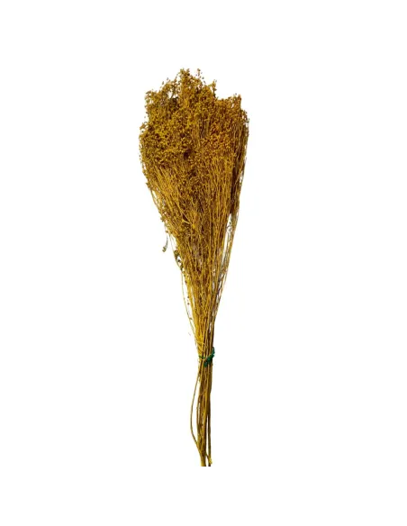 Mazzo broom bloom 100g