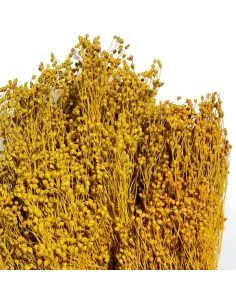 Mazzo broom bloom 100g 2