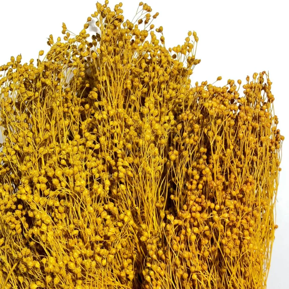 Mazzo broom bloom 100g