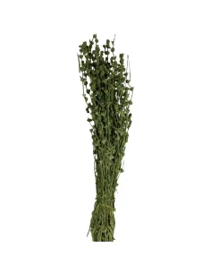 Green sage bundle, 110 g