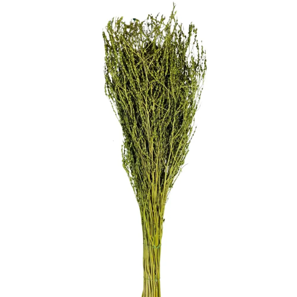 Olive-green erba rapa bundle, 210 g