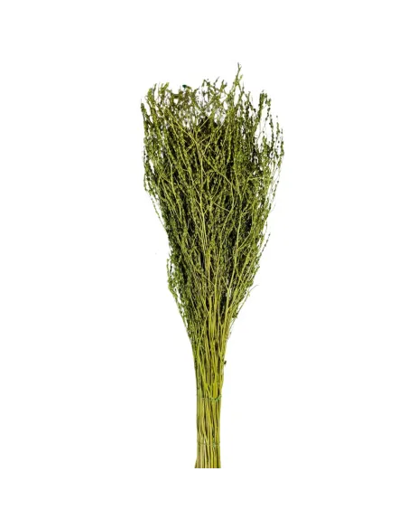 Olive-green erba rapa bundle, 210 g