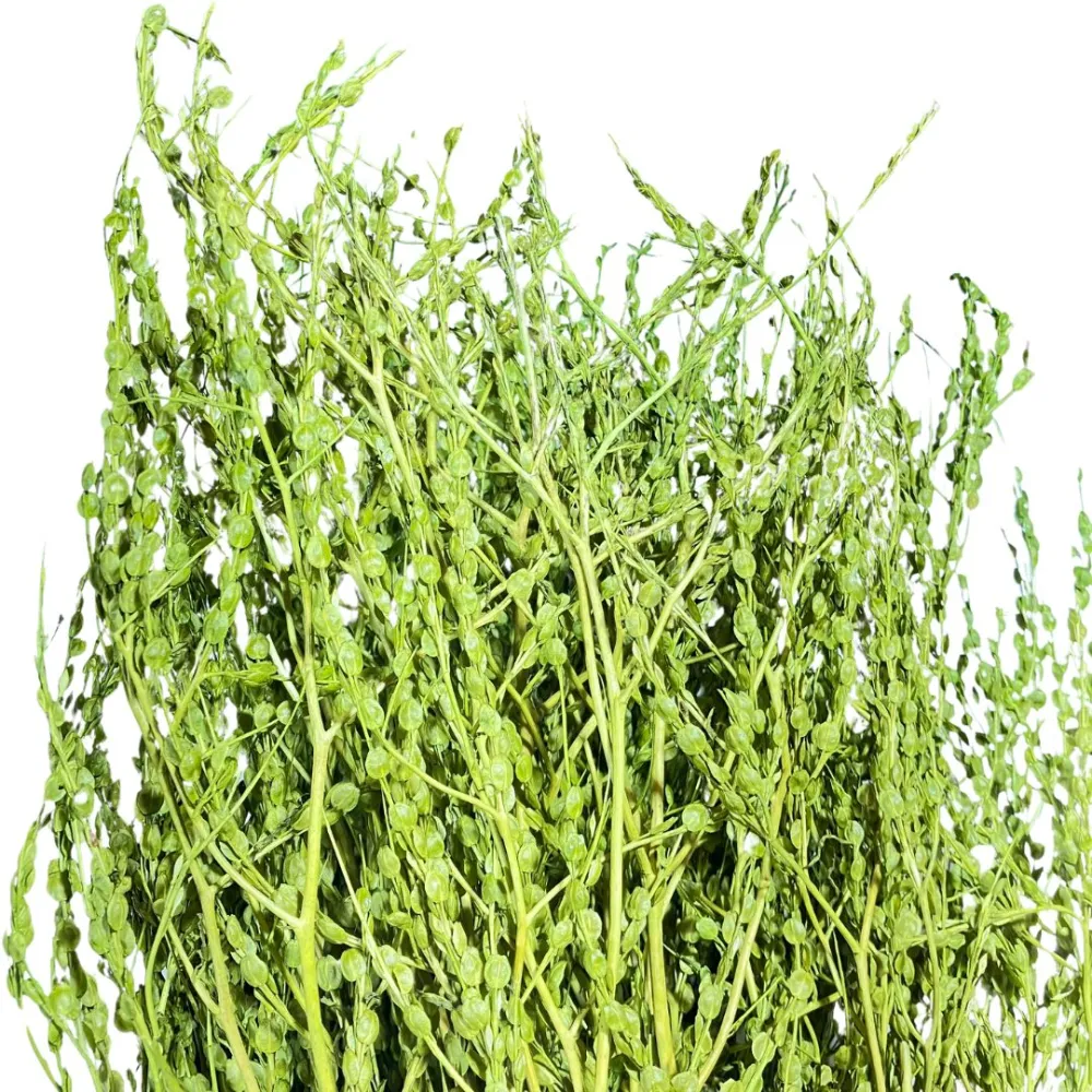 Olive-green erba rapa bundle, 210 g