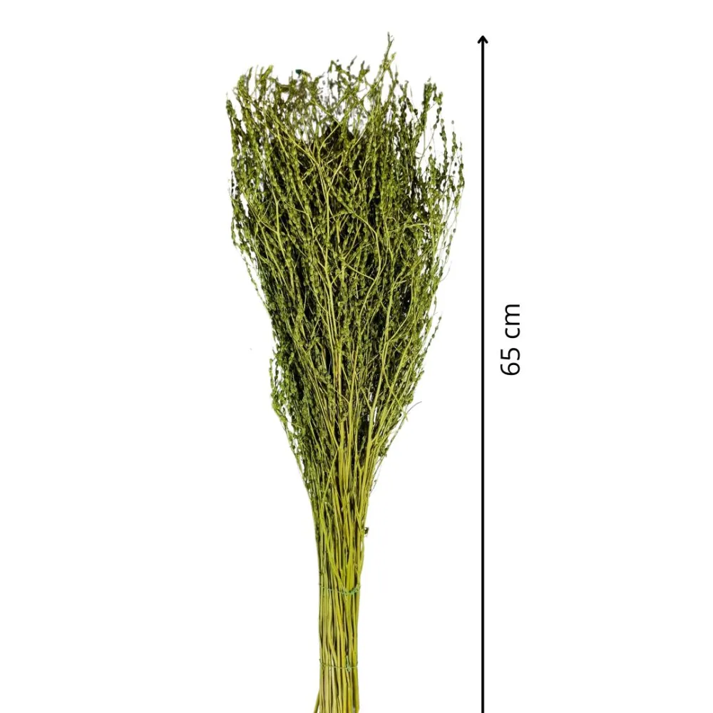 Olive-green erba rapa bundle, 210 g