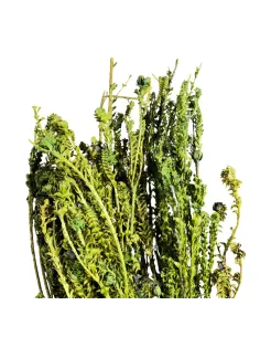 Mazzo amarelo 200g 2