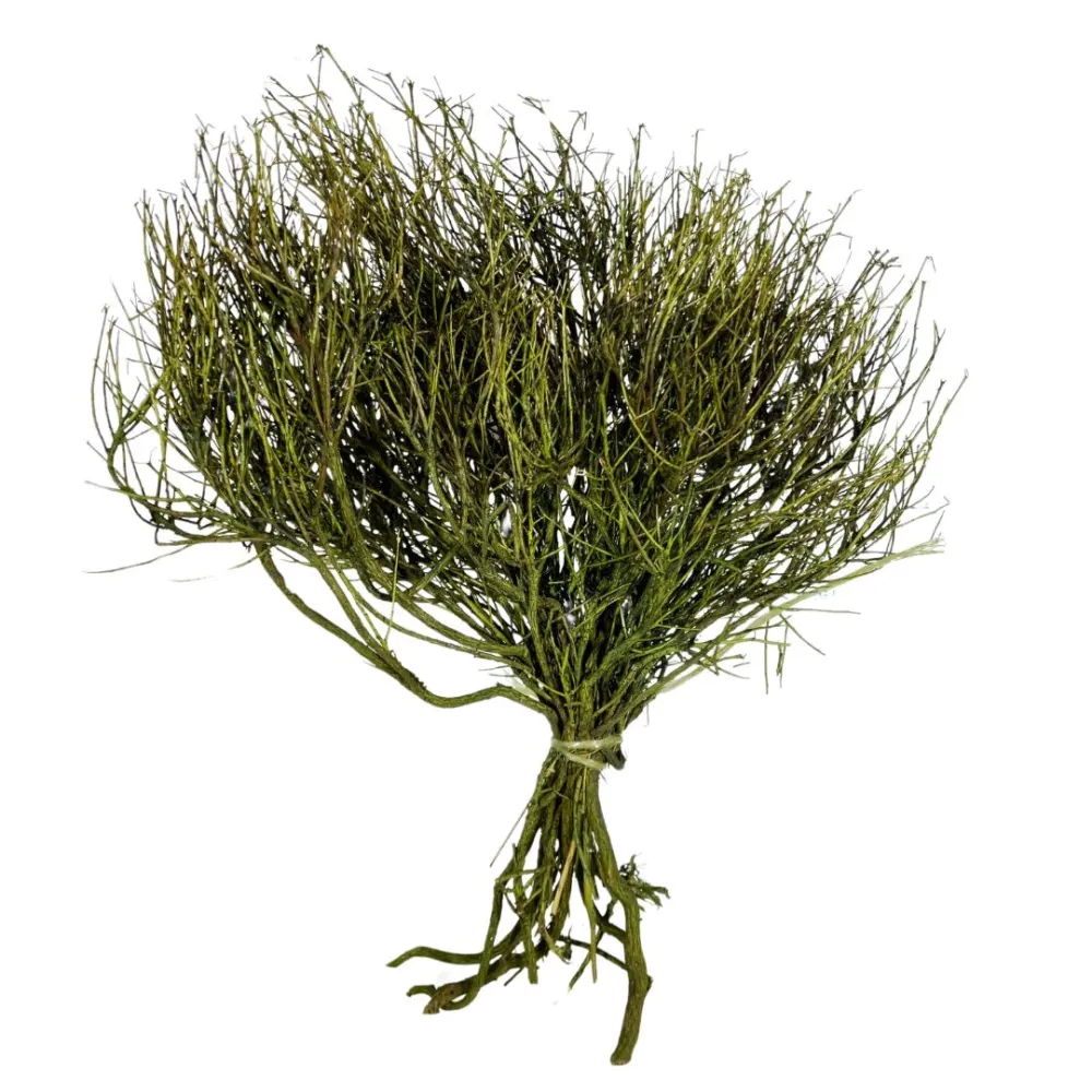 Colored heather bundle, 50 g