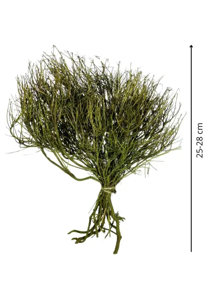 Mazzo erica colorata 50g