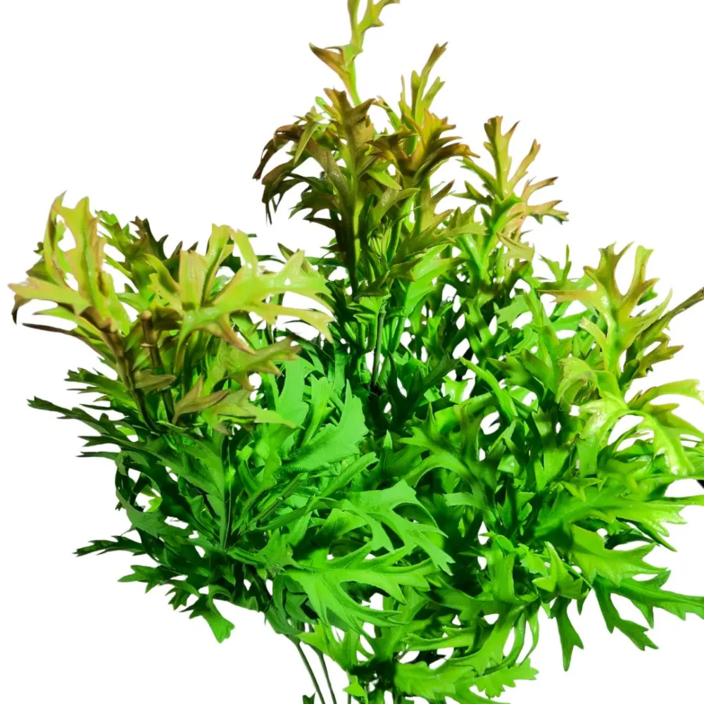 Green PVC bush