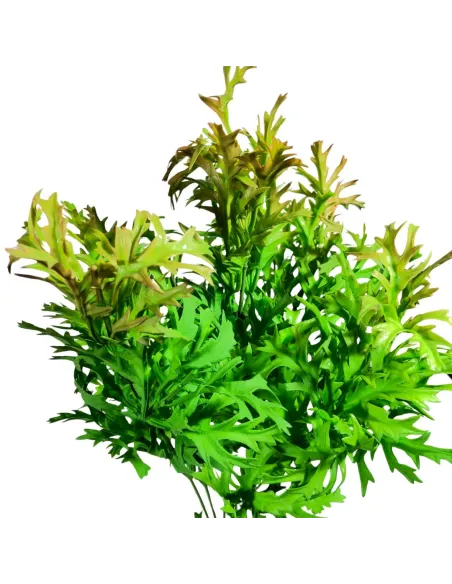 Cespuglio verde in pvc