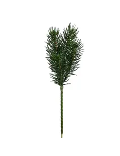 Fir pick branch in PVC