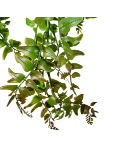 Trailing fern branch in PVC 2