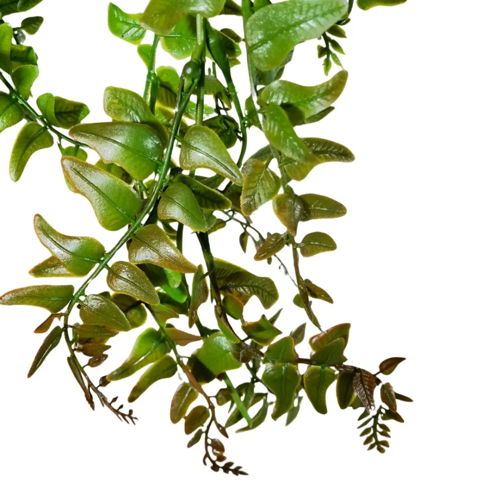 Trailing fern branch in PVC