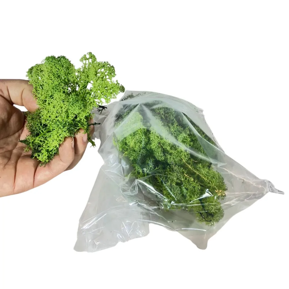 Forest-green lichen bag, 50 g