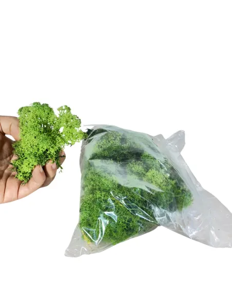 Busta lichene verde bosco 100g