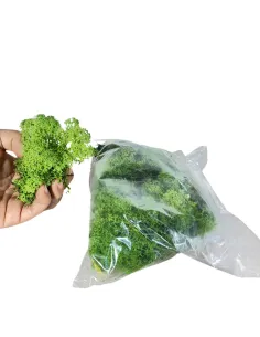 Busta lichene verde bosco 500g