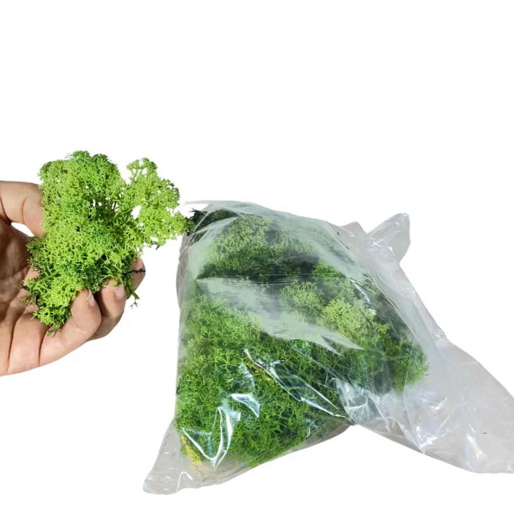 Forest-green lichen bag, 500 g