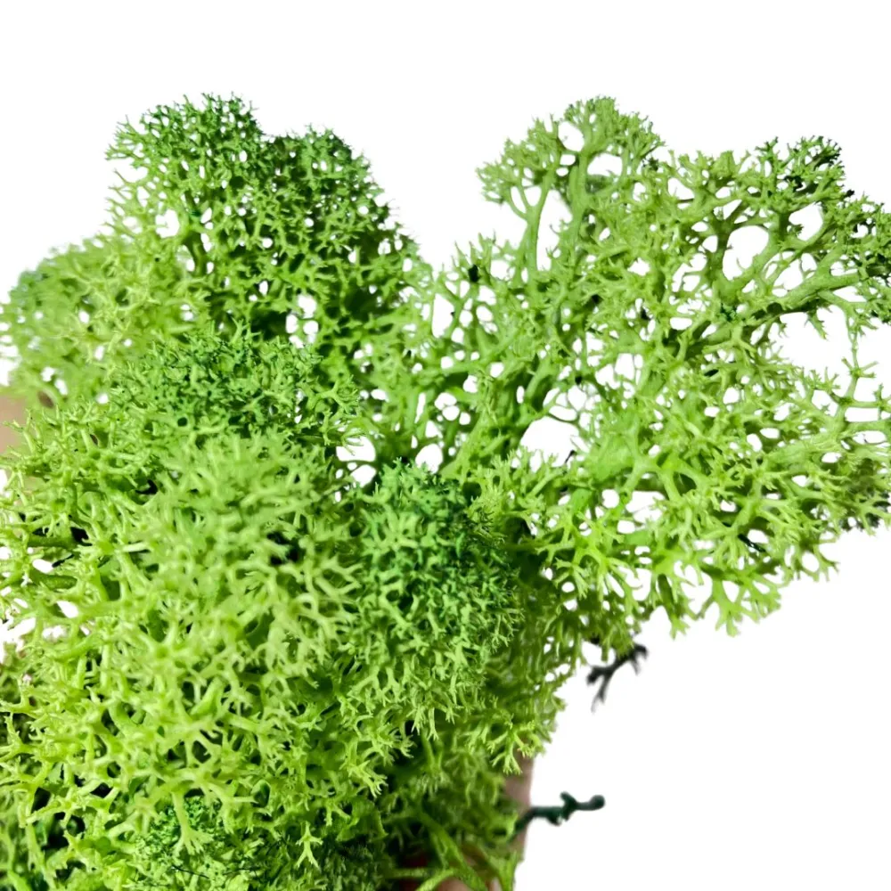 Forest-green lichen bag, 500 g