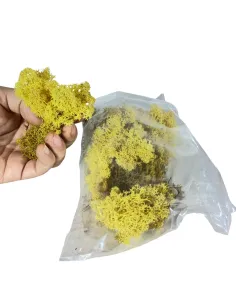 Busta lichene giallo 50g